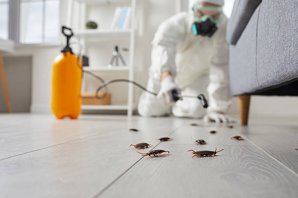 Commercial Kitchen Cockroach Control in Tiburon